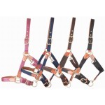 Capezzina in cuoio e cinghia T de T