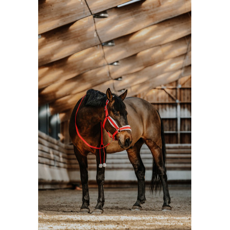 Capestro + lunghina Equithème Natale