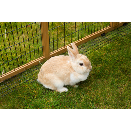 Recinto esterno con dispositivo antifuga Kerbl Hobbyfarming