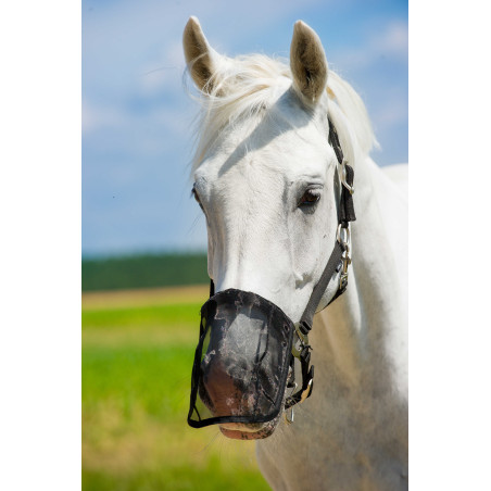 Paranaso in rete anti-mosche