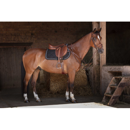 Pettorale Eric Thomas Hybrid