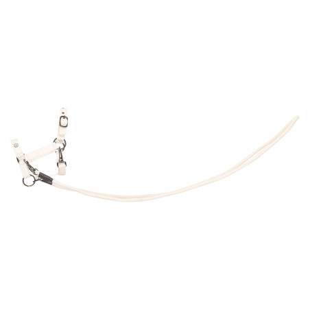 Capezzina Free Ride Hobby Horse Imperial Riding Free Spirit