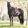 Sottosella Imperial Riding Josie Dressage - Fico