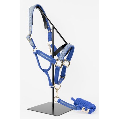 Capezzina e lunghina Harcour x Versailles Maximin