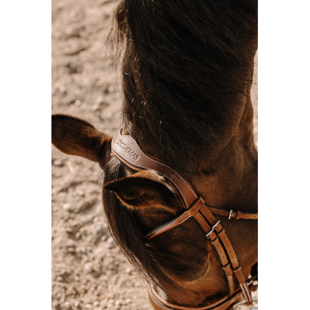 Bridon Eric Thomas Visby