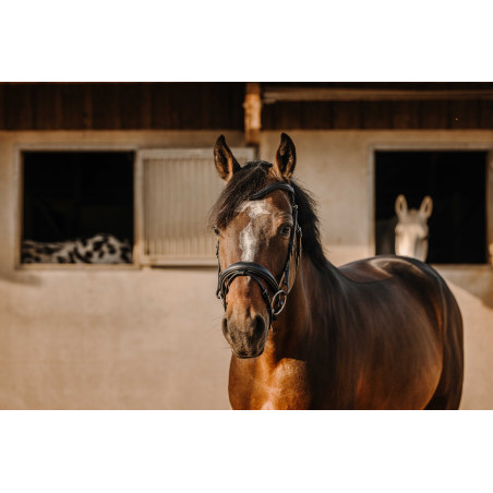 Bridon Eric Thomas Bat