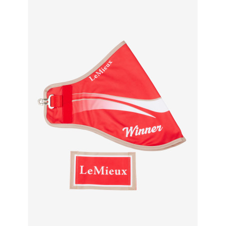 Coperta del vincitore Hobby Horse LeMieux