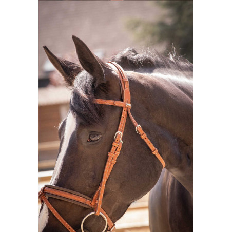 Briglia Pénélope Elegance