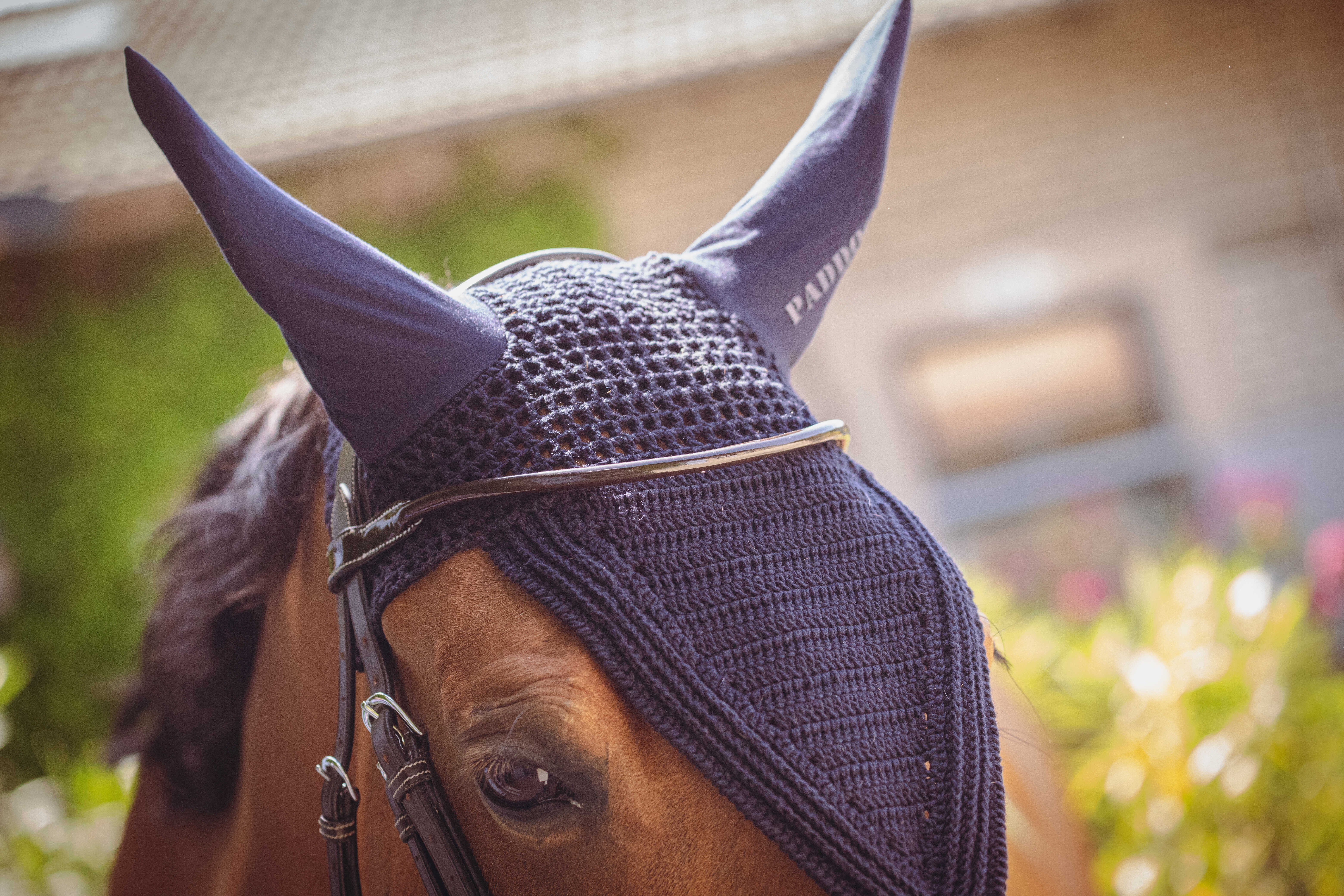 Cuffia Paddock Sports Pro Cotone lunga Blu navy Cuffia Paddock Sports Pro Cotone lunga Blu navy