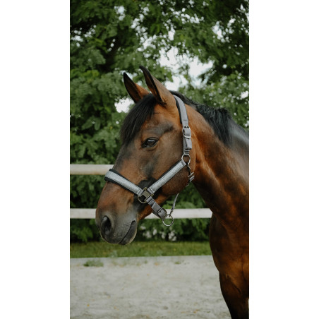 Capezzina Equithème Glowy