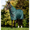 Coperta Amigo Ripstop Horseware 900D Plus Turnout 100g - Verde dinastia / blu marine / argento
