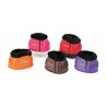 Campanelle pecora nera Arma Shires - Viola