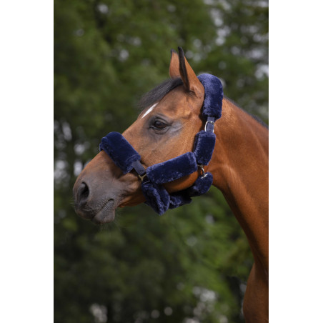 Set per cavezza Equithème Teddy