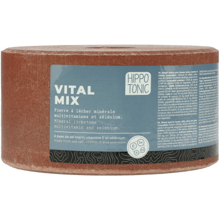 Pietra di sale Hippotonic Vitalmix
