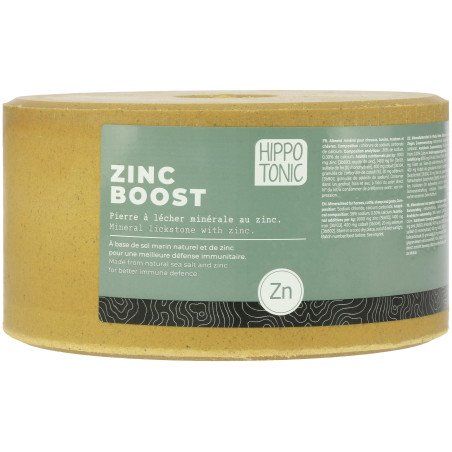 Pietra di sale Hippotonic Zinc boost