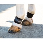 Paranocche Arma Shires