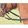 Flexi Rein® Shires - Avana