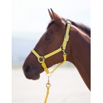 Cavezza in nylon Topaz Shires