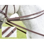 Redini tedesche Shires