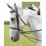 Redini elastiche Shires