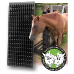 Raschiatore equino Shires