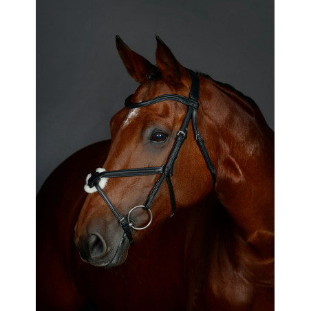 Briglia con capezzina incrociata Collegiate ComFiTec Opulux imbottita