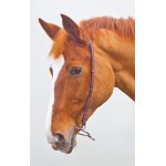 Mors chifney Blenheim Shires