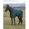 Coperta Weatherbeeta ComFiTec Classic Turnout combo 50 g - Verde foresta / nero