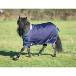 Copertina Miniatura Tempest Shires