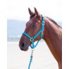 Cavezza in nylon Topaz Shires - Blu