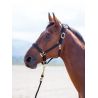Cavezza in nylon Topaz Shires - Nero