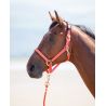 Cavezza in nylon Topaz Shires - Arancione