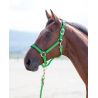 Cavezza in nylon Topaz Shires - Verde