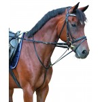 Redini ausiliarie Thiedemann Covalliero