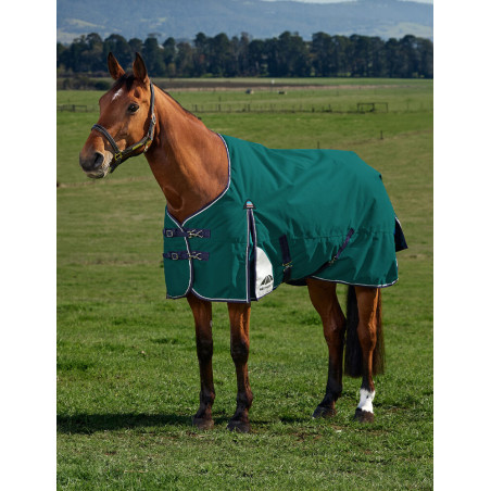 Coperta Weatherbeeta ComFiTec Plus Dynamic Turnout 100 g