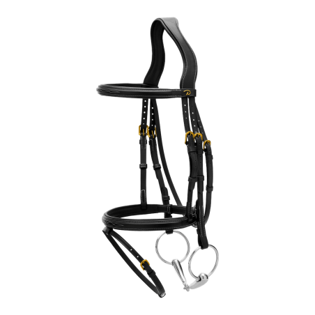 Testiera con capezzina combinata Dy'on