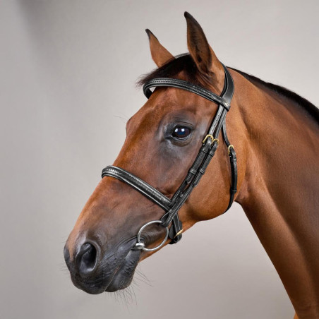 Briglia con capezzina intrecciata senza barbozza Dy'on