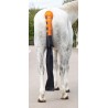 Proteggi-coda foderato con sacca Arma Shires - Arancione