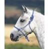 Capestro etologico Shires - Marino / bianco