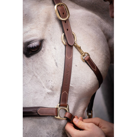 Capestro in cuoio con 3 moschettoni Paddock Sports