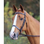 Filet Aviemore Shires
