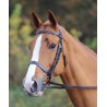 Filet Aviemore Shires - Avana