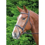 Briglia Comfort Fit Aviemore Shires
