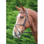 Briglia messicana Aviemore Shires