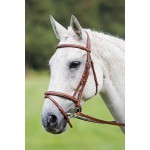 Briglia con capezzina incrociata Raised Flash Avignon Shires