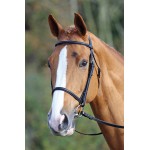 Capezzina francese Aviemore Shires