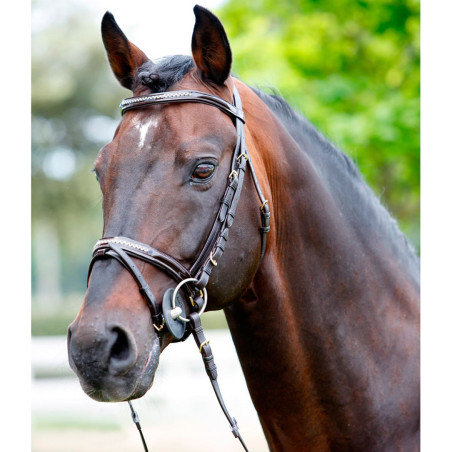 Briglia Tattini con strass