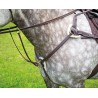 Pettorale a 5 punti Salisbury Shires - Avana