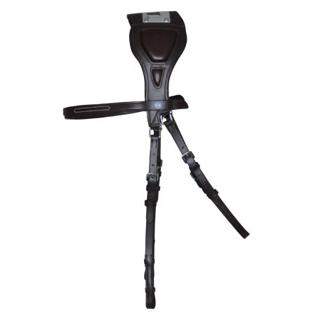 Briglia T de T Essentiel con Ponte