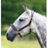 Capezzina in cuoio Blenheim Shires - Avana